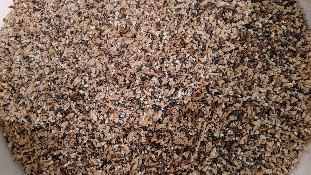 crushed brewing grain